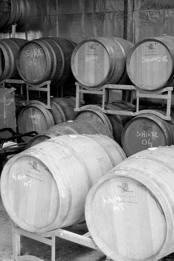 Hotel Tranquil Vale Vineyard Luskintyre Exterior foto