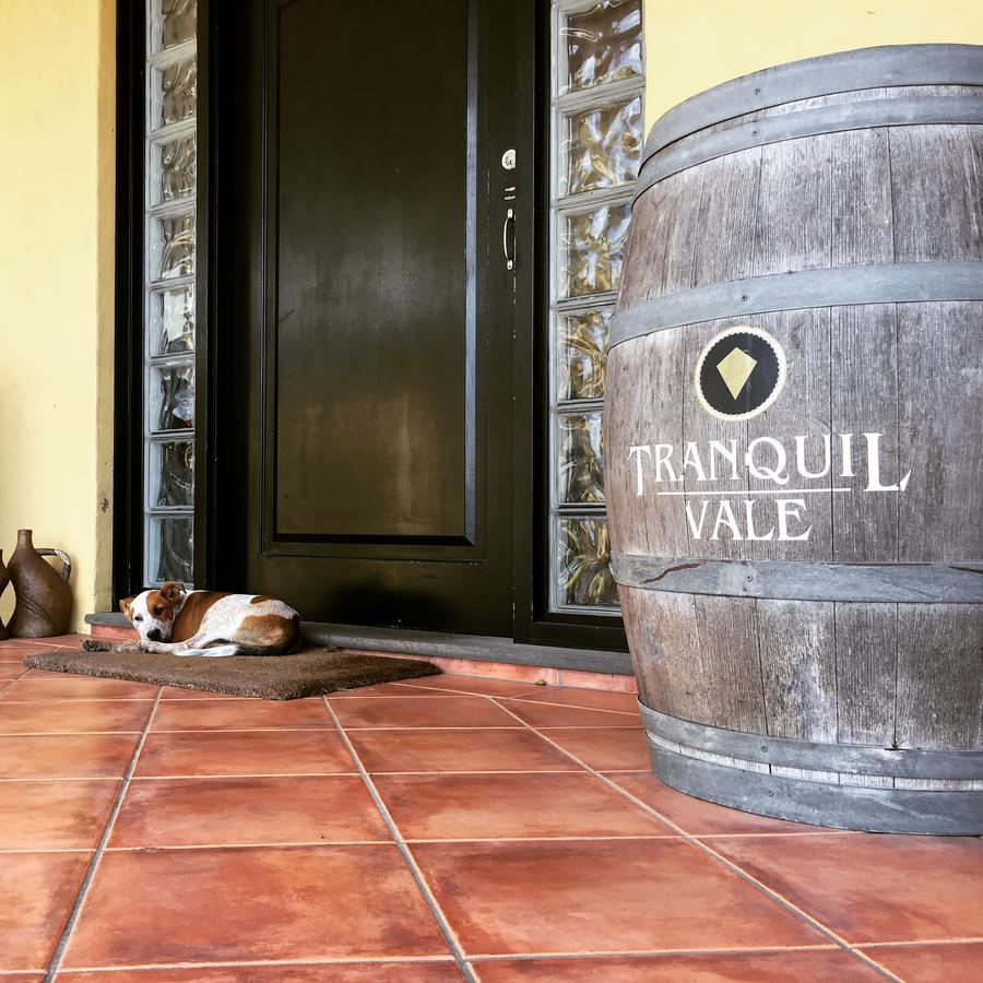 Hotel Tranquil Vale Vineyard Luskintyre Exterior foto